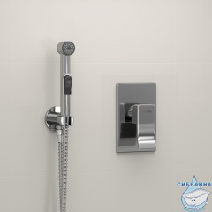 Встраиваемый смеситель с гигиеническим душем Wasserkraft A010657 (хром)