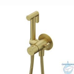 Встраиваемый смеситель с гигиеническим душем, матовое золото, IDDIS, 005MGR0i08