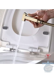 Встраиваемый смеситель Raglo R01.52.03 с гигиеническим душем (сатин золотой)