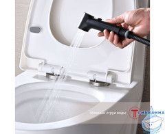 Встраиваемый смеситель Raglo R03.52.06 с гигиеническим душем (черный)