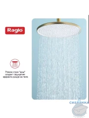 Верхний душ Raglo 250 R451.50.03 (сатин золотой)