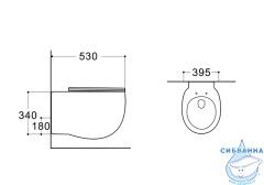 Унитаз подвесной безободковый Aquatek Альтаир AQ1980-00 с сиденьем Soft Close (микролифт)