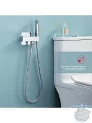 Смеситель Raglo R24.56 с гигиеническим душем (хром)