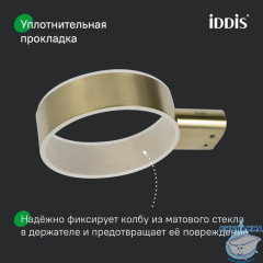 Ершик, нержавеющая сталь, Petite, золото матовое, IDDIS, PETG0SGi47