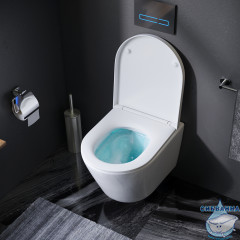 Унитаз подвесной AM.PM Gem C741701SC с сиденьем Soft Close (микролифт)