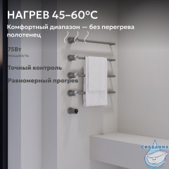 Полотенцесушитель электрический ABBER Charme AH4004BST сталь брашированная