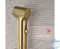 Встраиваемый смеситель Raglo R03.52.03 с гигиеническим душем (сатин золотой)