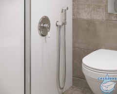 Встраиваемый смеситель с гигиеническим душем Timo Arisa 5309/00SM (хром)