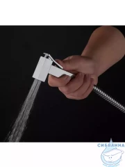 Гигиеническая душ Raglo R460.04 (хром)