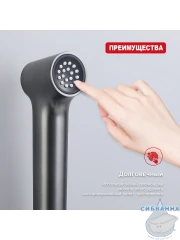 Гигиеническая душ Raglo R460.05.09 (графит)
