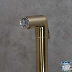 Встраиваемый смеситель с гигиеническим душем Lemark Solo LM7171G (золото)