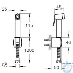 Гигиеническая лейка Vitra Hygienic A45747 (хром)