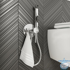 Встраиваемый смеситель с гигиеническим душем Iddis 003SBR0i08 (хром)