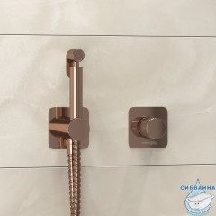 Встраиваемый смеситель с гигиеническим душем Wasserkraft A8851.290.292.335 (розовое золото)