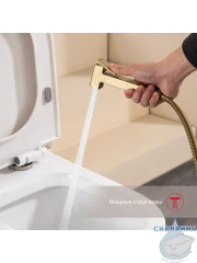 Встраиваемый смеситель с гигиеническим душем Raglo R51.51.03 (сатин золотой)