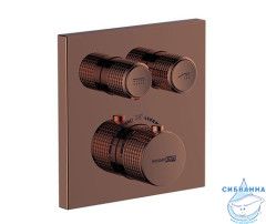 Аспе (Asphe) 7748 Термостатический смеситель для ванны и душа 7748 T