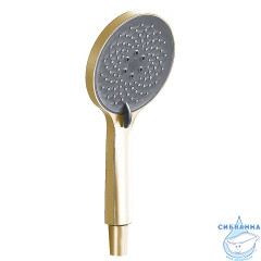 Смеситель для ванны Azario Alanti  AZ-K3032MG (золото матовое)