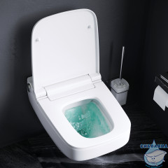 Унитаз подвесной безободковый AM.PM Inspire 2.0 электронной крышкой-биде CleanCare CCC50A1700SC