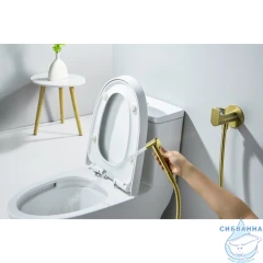 Смеситель с гигиеническим душем Aquatek Оберон AQ1024BG (золото шлифованное)