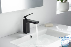 Смеситель для раковины Timo Torne 4361/03F (без донного клапана) (черный матовый)