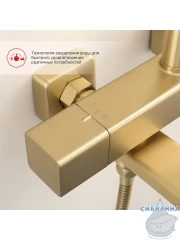 Душевая система Raglo 320 1 режим R22.26.03 (сатин золотой)