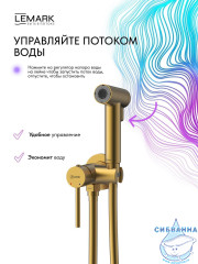 Встраиваемый смеситель с гигиеническим душем Lemark Калина LMF-2118S-BRG (брашированное золото)