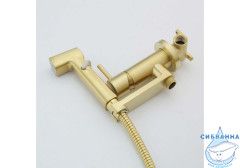 Встраиваемый смеситель с гигиеническим душем Aquatek Ника AQ1819BG (золото шлифованное)