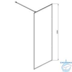 Walk-in Azario Richmond 100 профиль черный, стекло прозрачное AZ-NAG 6310 1000 Black