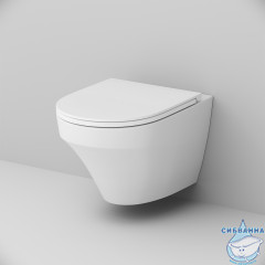 Унитаз подвесной AM.PM Inspire C501700WH (без сиденья) (белый глянцевый)