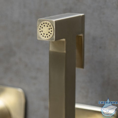 Встраиваемый смеситель с гигиеническим душем Lemark Ursus LM7219BG (брашированное золото)