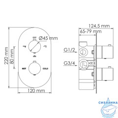 Встраиваемый смеситель для ванны Wasserkraft Elbe 7444 Thermo (черный матовый)
