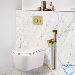 Смеситель Vincea VHFW-101BG с гигиеническим душем (брашированное золото)