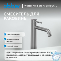 Смеситель ABBER Wasser Kreis 316 AF8111BGG-L для накладной раковины, брашированная оружейная сталь