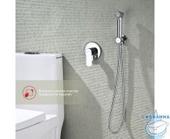 Встраиваемый смеситель Raglo R03.53 с гигиеническим душем (хром)