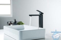 Смеситель для раковины Aquatek Либра AQ1604MB (черный матовый)