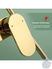 Душевая система Raglo 320 1 режим R50.24.23 (золото)