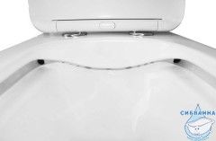 Унитаз напольный безободковый Azario Lodi с бачком и сиденьем Soft Close (микролифт) AZ-8617