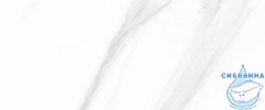 10100000446 Плитка облиц. Aurora GT Сер. 60*25 01_ 1 \57,6