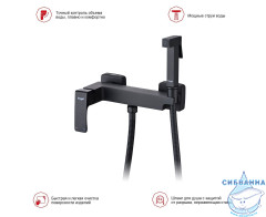 Смеситель Raglo R01.51.06 с гигиеническим душем (черный)