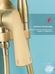 Встраиваемый смеситель с гигиеническим душем Raglo R07.52.03 (сатин золотой)