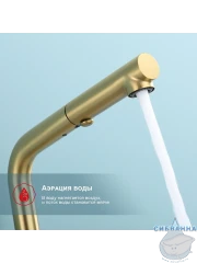 Смеситель для кухни Raglo R86.49.03 (сатин золотой)