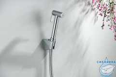 Гигиеническая лейка Aquatek AQ2054CR (хром)