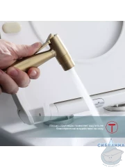 Встраиваемый смеситель Raglo  R20.52.03  с гигиеническим душем (сатин золотой)