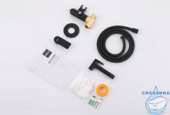 Встраиваемый смеситель с гигиеническим душем ABBER Weiss Insel AF8025B (черный матовый)