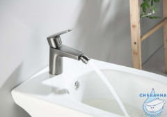 Смеситель для биде Aquatek Бетта AQ1118BGM (оружейная сталь)