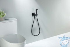 Смеситель с гигиеническим душем Aquatek Лира AQ1025MB (черный матовый)