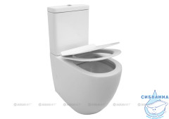 Унитаз напольный безободковый Aquanet Rimless Cetus 203342 с бачком и сиденьем Soft Close (микролифт)