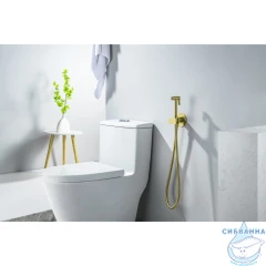 Смеситель с гигиеническим душем Aquatek Оберон AQ1024BG (золото шлифованное)