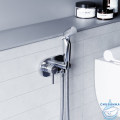 Встраиваемый смеситель с гигиеническим душем Damixa Option 212000000 (хром)