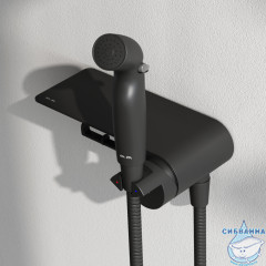 Cмеситель с гигиеническим душем Am.Pm Func F0H8F922 (черный матовый)